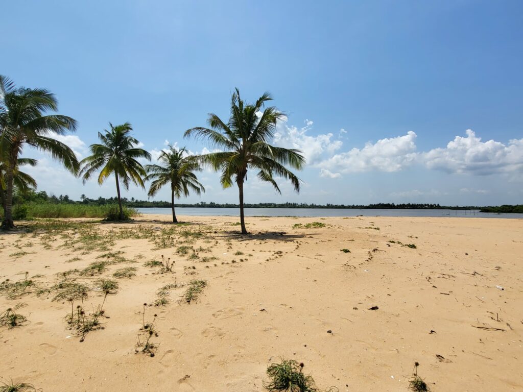Littoral